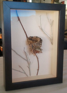 nest_custom_frame